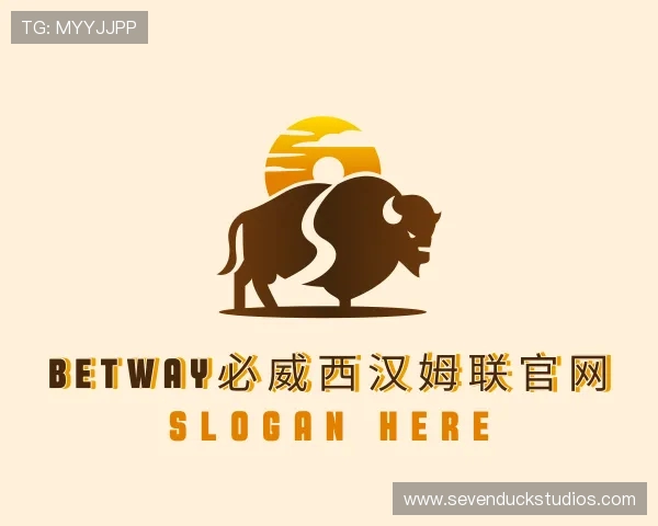 关于必威betway西汉姆联